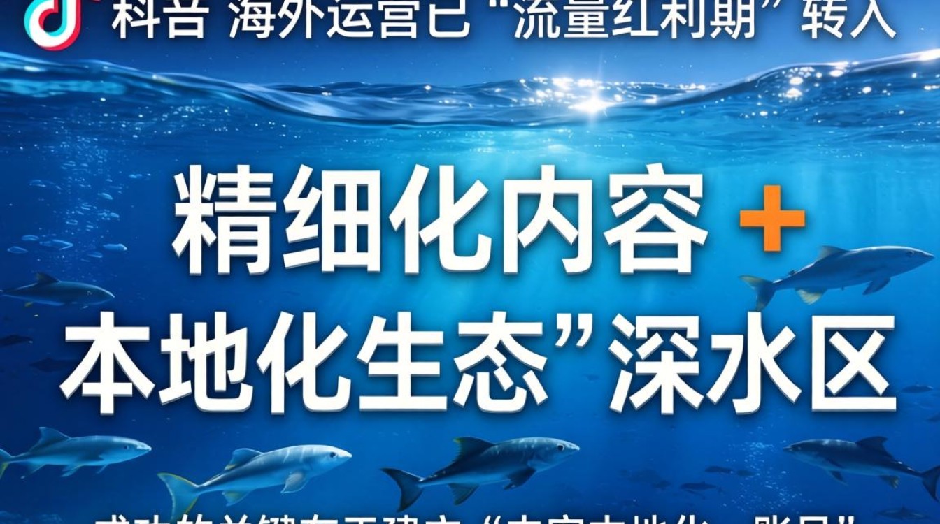 快手浅谈tiktok海外发展对策运营攻略手把手教你