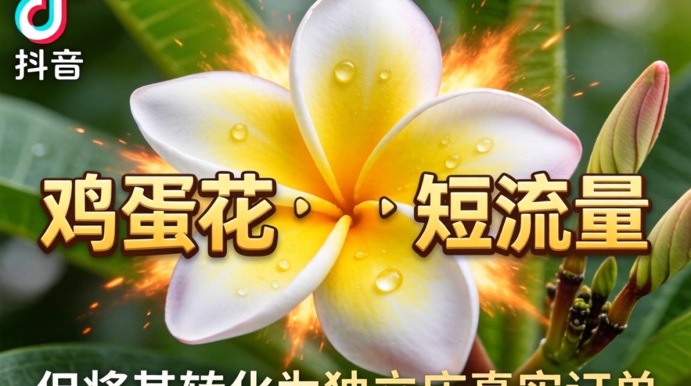 TikTok 鸡蛋花特效独立站建站海外电商指南