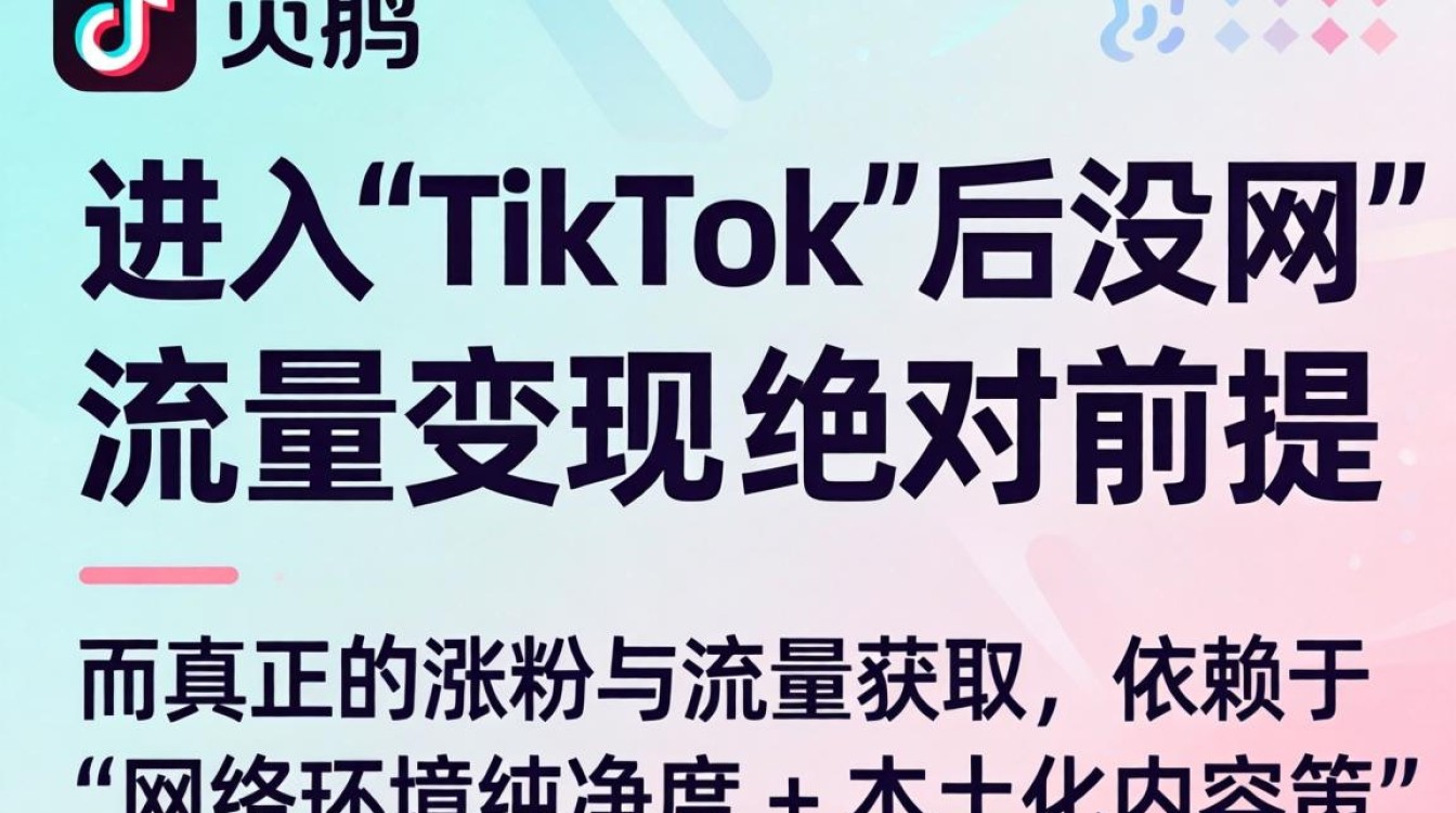 百家号进入TikTok后没网怎么办