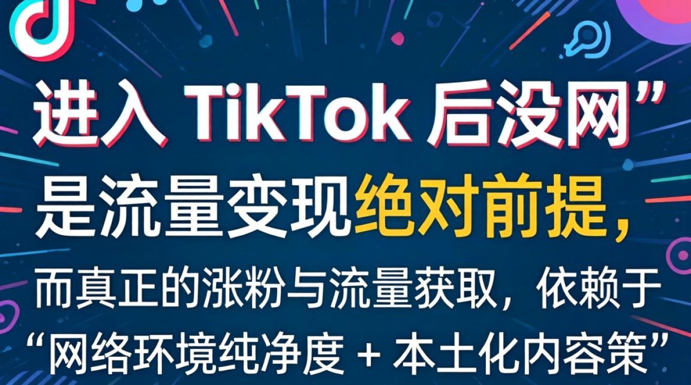 百家号进入TikTok后没网怎么办