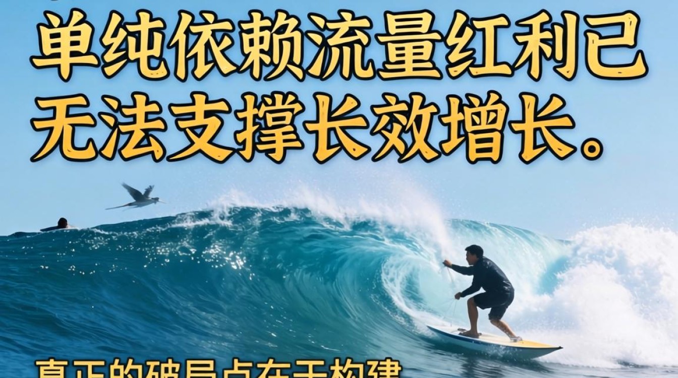 TikTok 机刷动销独立站建站海外电商指南怎么做