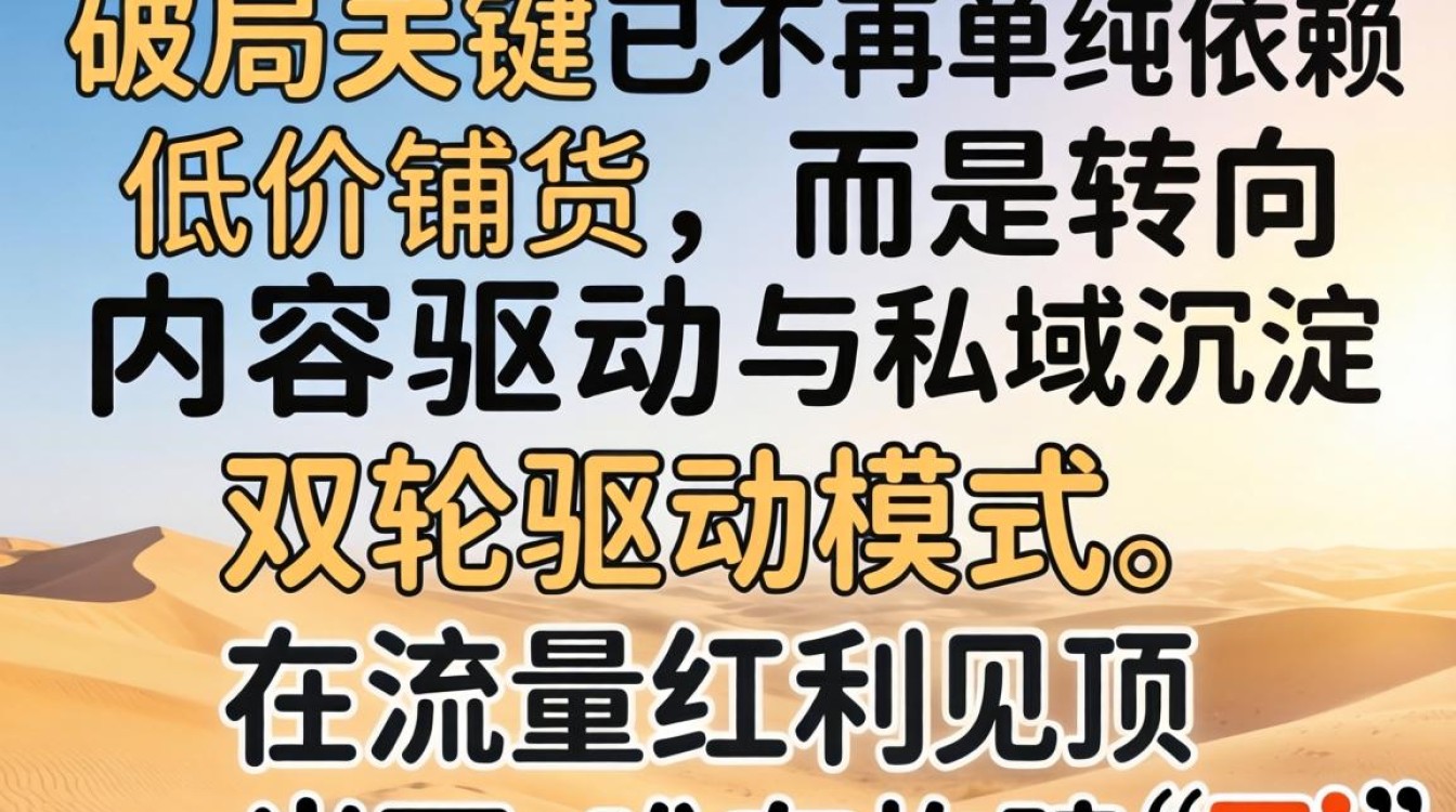 TikTok 加维莱万跨境电商实战攻略