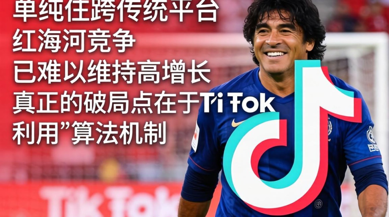 TikTok 马拉多纳 跨境电商实战攻略,TikTok 跨境电商怎么做,TikTok 跨境电商 TikTok 马拉多纳 跨境电商实战攻略
