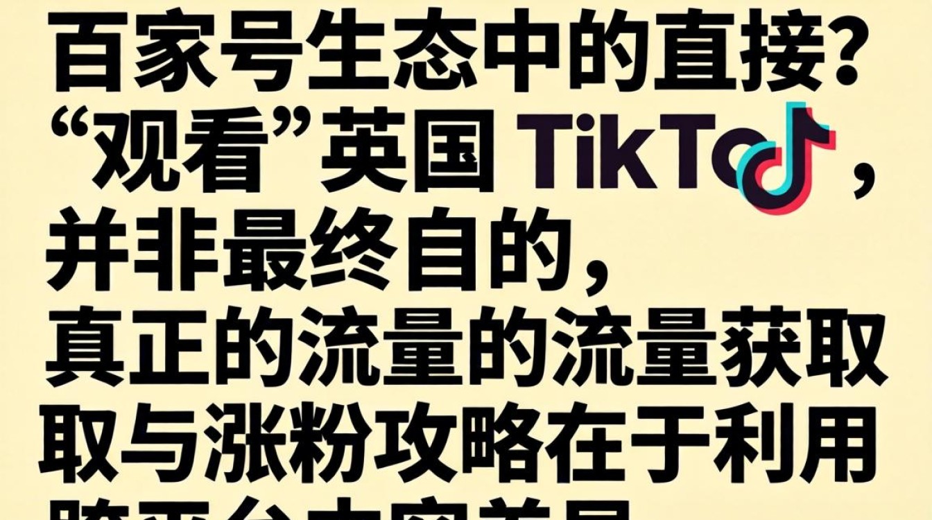 英国 TikTok 涨粉攻略流量获取