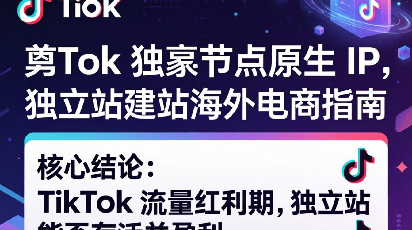 TikTok 独享节点原生 IP 独立站建站海外电商指南