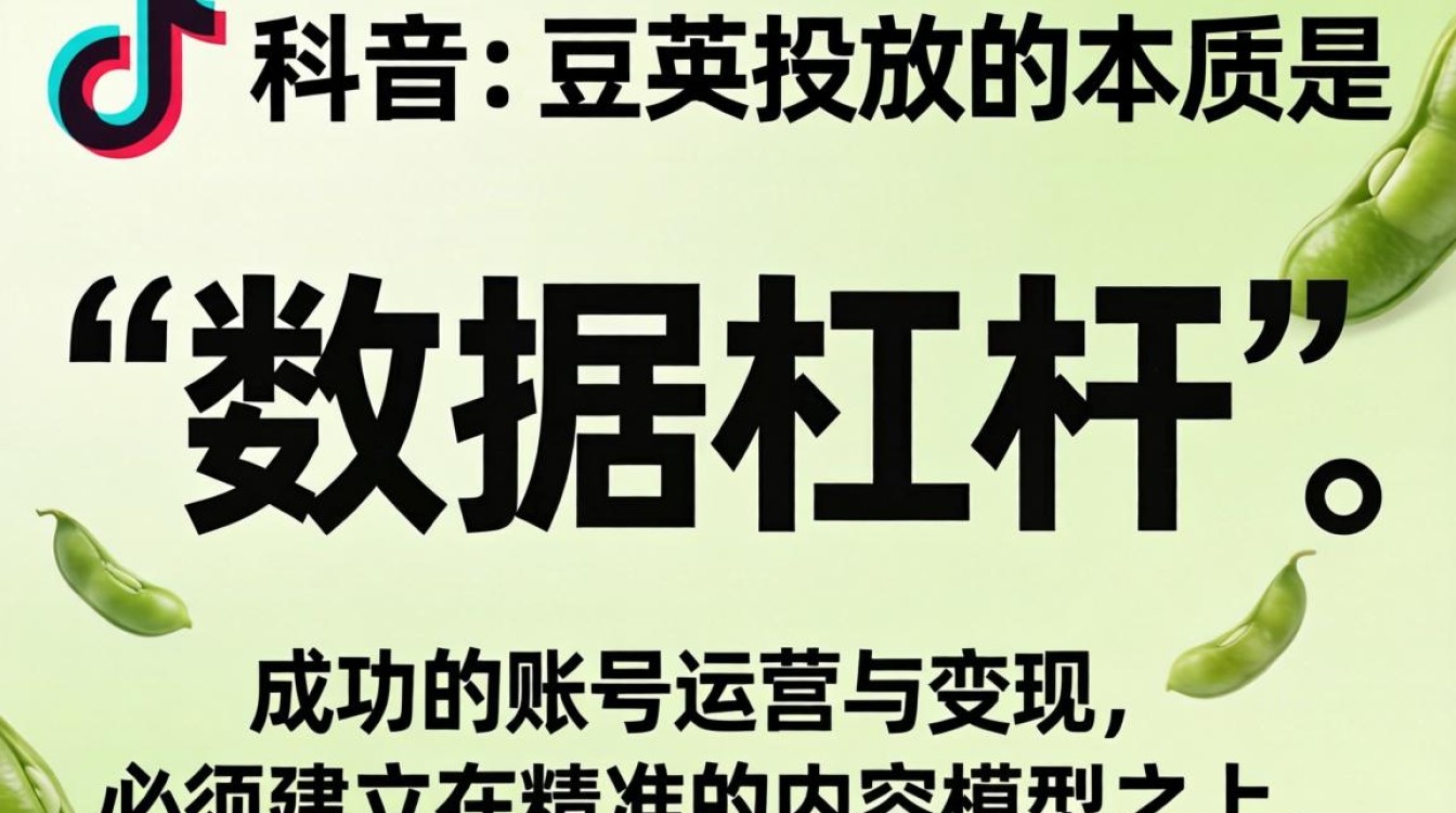 国外 TikTok 怎么投豆荚