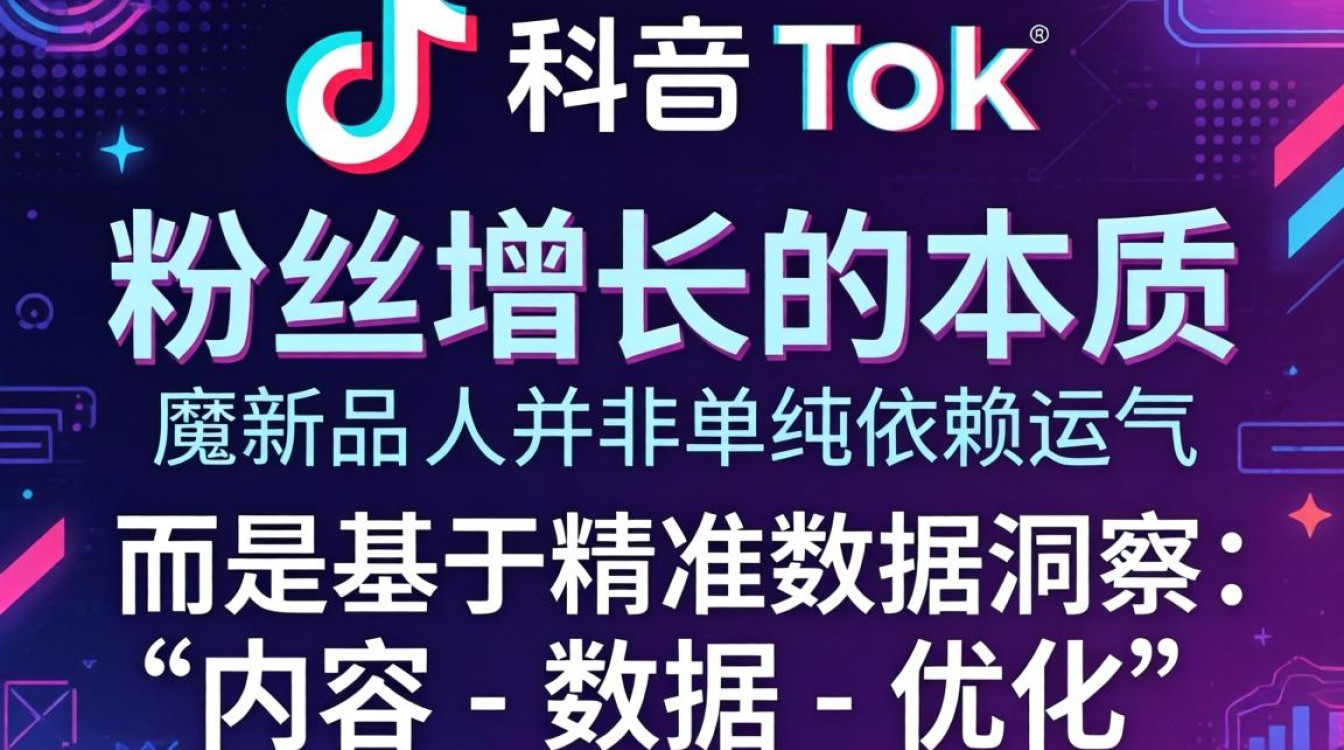TikTok 数据查看软件怎么查