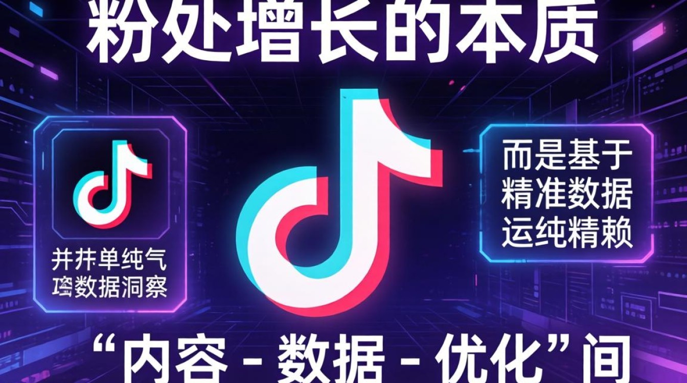TikTok 数据查看软件怎么查
