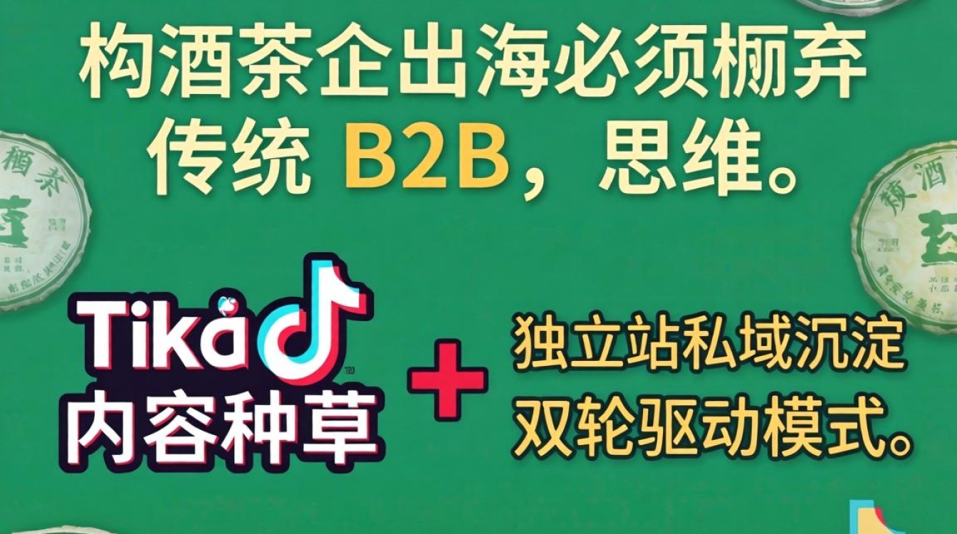 普洱TikTok服务商怎么做