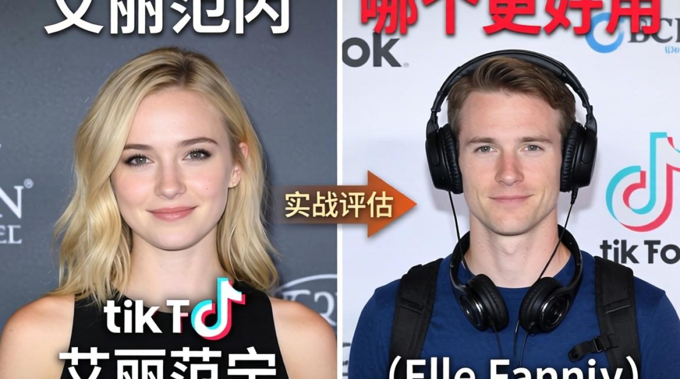 艾丽范宁 tiktok 对比工具哪个好用