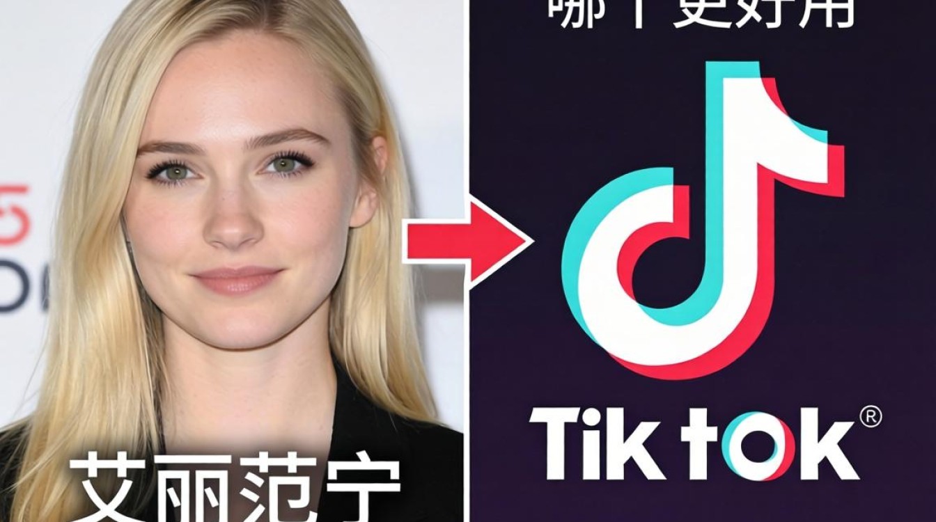 艾丽范宁 tiktok 对比工具哪个好用