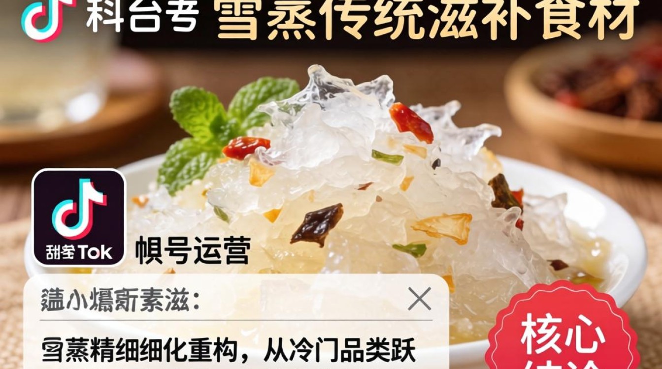 账号运营 雪燕爆改tiktok 涨粉变现秘籍