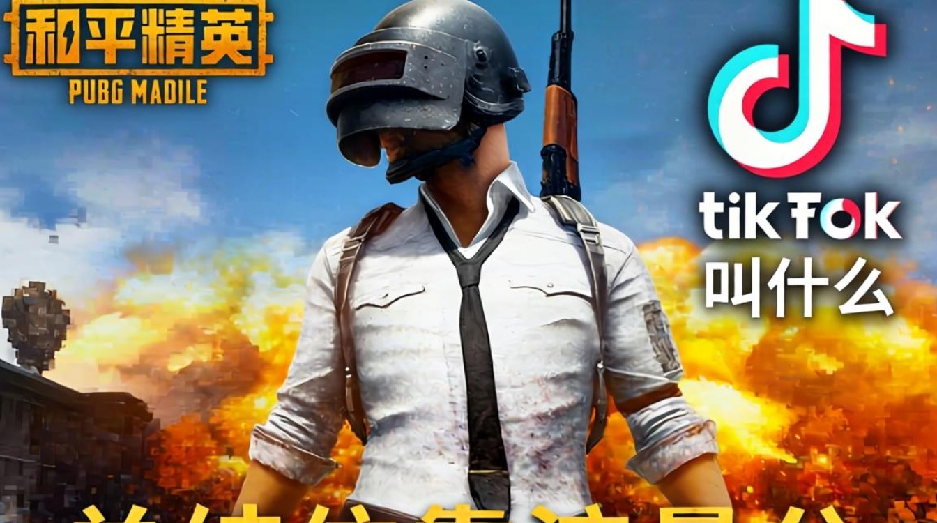 私域流量 和平精英tiktok叫什么 变现方法汇总